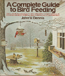 A Complete Guide to Bird Feeding