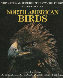 North American Birds