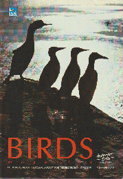 BIRDS magazine（1989summer）