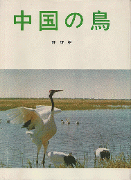 中国の鳥