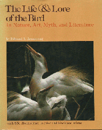 The Life ＆ Lore of the Bird