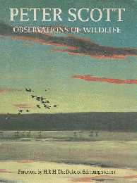 Peter Scott Observations of Wildlife