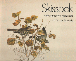 Skissbok 