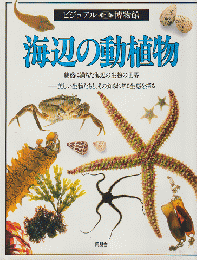 海辺の動植物 : 魅惑に満ちた海辺の生物の世界 美しい生物たちと、その知られざる生態を探る