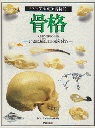 骨格 : 人間や動物の骨格 その進化、構造、働きの秘密を探る