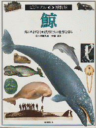 鯨 : 海のさまざまな哺乳類たちの世界を探る