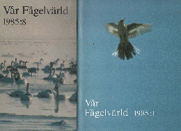 Var Fagelvarld 1985:1～1985:8 （8冊セット）