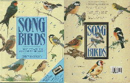 SONG BIRDS