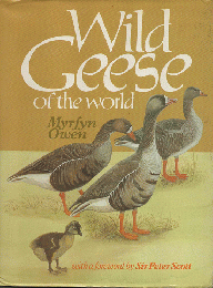 Wild Geese of the world