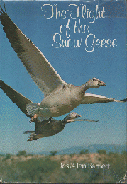 The Flight of the Snow Geese