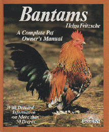 Bantams