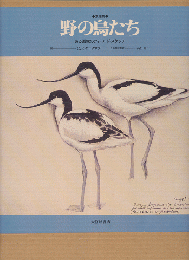 野の鳥たち : 素描集 ある画家のフィールド・スケッチ