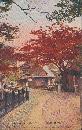 絵葉書　大阪府箕面公園