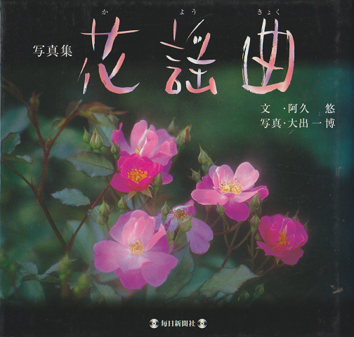 河東碧梧桐 : 表現の永続革命(石川九楊著) / 古書追分コロニー