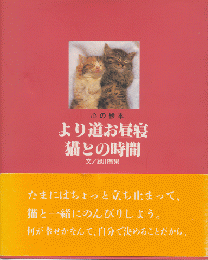 より道お昼寝猫との時間