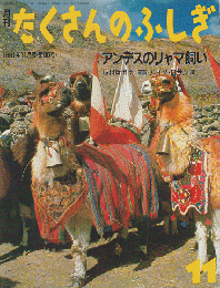 月刊「たくさんのふしぎ」1991年11月号（第80号）「アンデスのリャマ飼い」