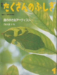 月刊「たくさんのふしぎ」1990年1月号（第58号）「森の小さなアーティスト」