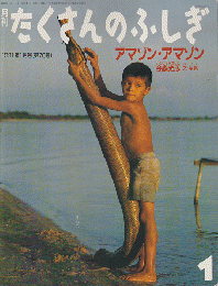 月刊「たくさんのふしぎ」　1991年1月号（第70号）　「アマゾン・アマゾン」