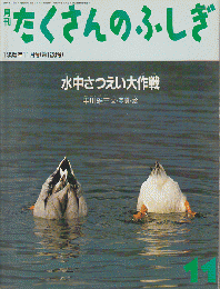 月刊たくさんのふしぎ　1995年11月号（第128号）水中さつえい大作戦