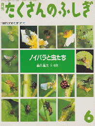 月刊たくさんのふしぎ　1995年6月号（第123号）　ノイバラと虫たち