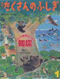 月刊たくさんのふしぎ　2007年1月号（第262号）　わたしの動物カレンダー知床