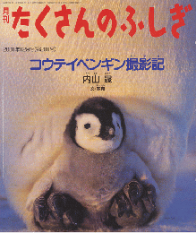 月刊たくさんのふしぎ　コウテイペンギン撮影記　2001年12月号（第201号）