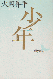 少年