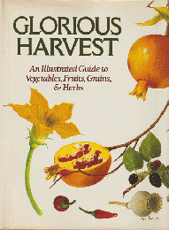 GLORIOUS HARVEST（An Illustrated Guide to Vegetables,Fruits,Grains,＆Herbs）