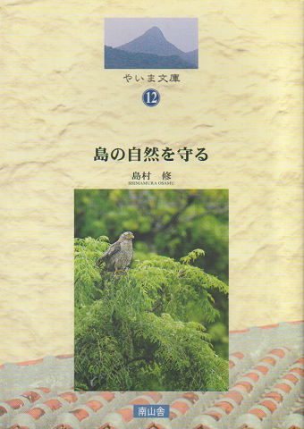 大矢英雄画集 : 時の在所(大矢英雄 著) / 古書追分コロニー