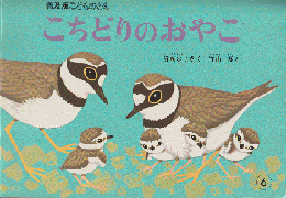 普及版こどものとも「こちどりのおやこ」