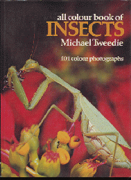 All colour book of insects