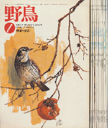 野鳥　1993年1月-12月（全11冊セット）