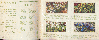 WILD FLOWERS (BROOKE BOND PICTURE CARDS SERIES 3)