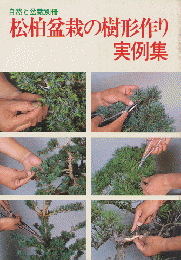自然と盆栽 別冊　松柏盆栽の樹形作り　実例集