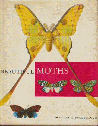 BEAUTIFUL MOTHS