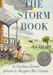 The Storm Book