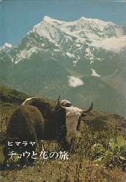 チョウと花の旅 : ヒマラヤ