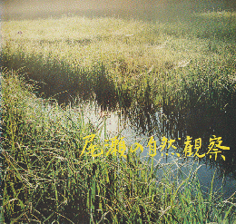 尾瀬の自然観察 
