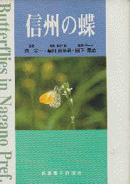 信州の蝶