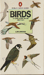 BIRDS of LAKE, RIVER, MARSH and FIELD
