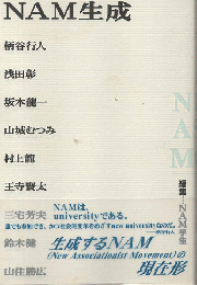 NAM生成