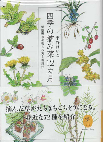河東碧梧桐 : 表現の永続革命(石川九楊著) / 古書追分コロニー