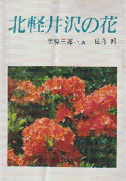 北軽井沢の花