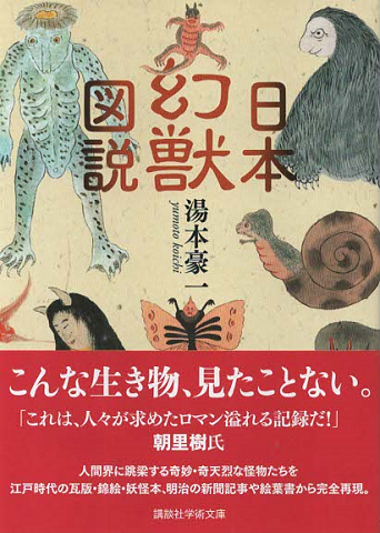 Amazon.com: 竜神信仰―諏訪神のルーツをさぐる: 9784846003142