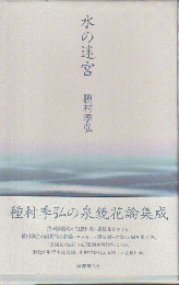 水の迷宮
