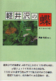 軽井沢の蝶