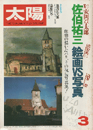 太陽　1980年2月号