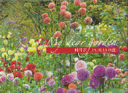 My dear garden 軽井沢dahliaの庭