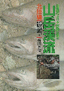 山岳渓流 : 40cm級のイワナが潜む渓々 北陸編
