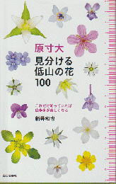 原寸大見分ける低山の花100 : これだけ知っていれば山歩きが楽しくなる